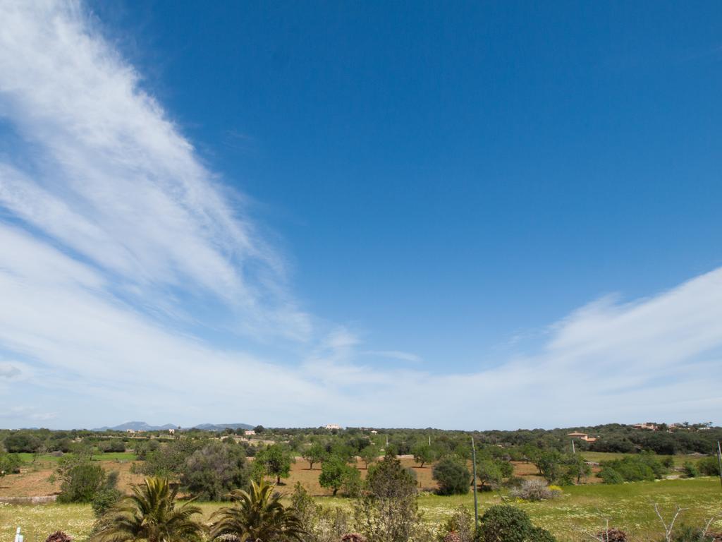 Agroturismo S Hort De Can Carrio Ag226 Ses Salines  Luaran gambar